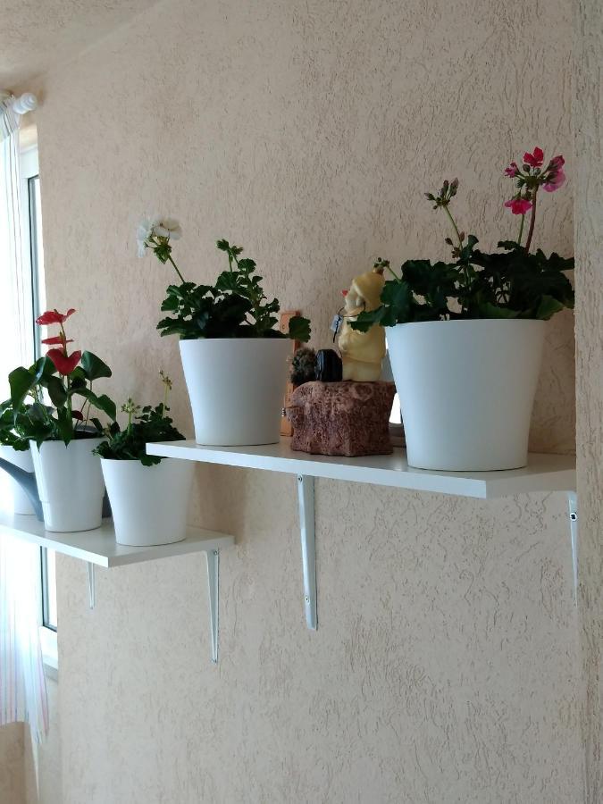 Appartamento Heart Of Makarska Esterno foto